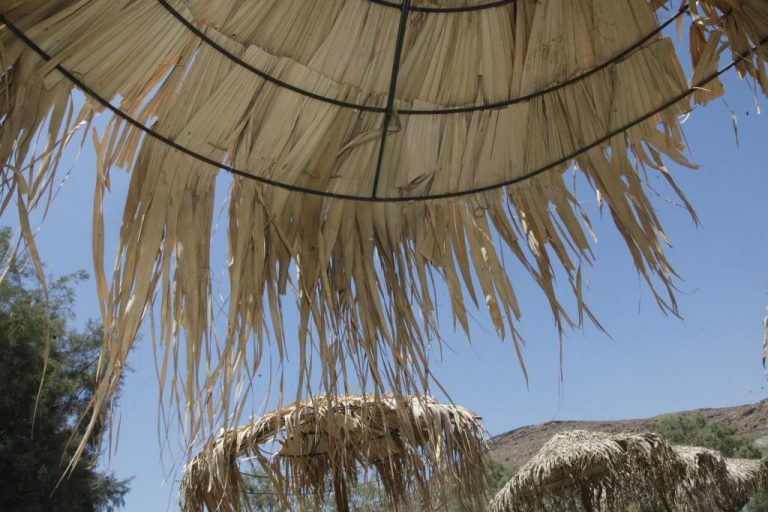 Χαλκιδική: Έκαναν αυθαίρετες κατασκευές σε προστατευόμενο υγρότοπο | Newsit.gr Χαλκιδική: Έκαναν αυθαίρετες κατασκευές σε προστατευόμενο υγρότοπο | Newsit.gr