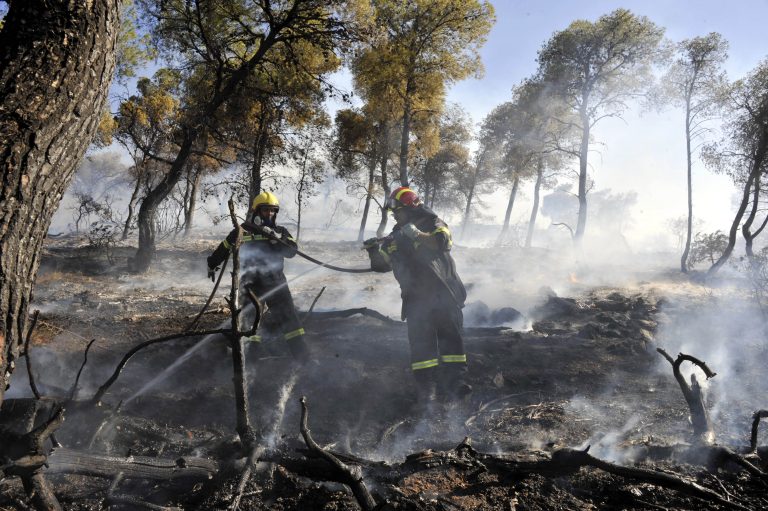 Πάτρα: Συνεχείς αναζωπυρώσεις της φωτιάς – Δύσκολη νύχτα βλέπουν οι πυροσβέστες! | Newsit.gr Πάτρα: Συνεχείς αναζωπυρώσεις της φωτιάς – Δύσκολη νύχτα βλέπουν οι πυροσβέστες! | Newsit.gr