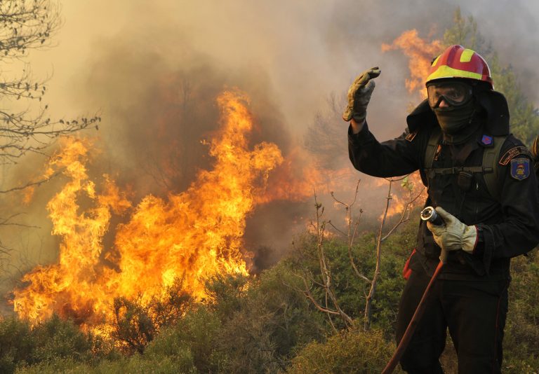 Εύβοια: Μεγάλη φωτιά έκαψε σπίτια και πλησιάζει το χωριό Πετριές! | Newsit.gr Εύβοια: Μεγάλη φωτιά έκαψε σπίτια και πλησιάζει το χωριό Πετριές! | Newsit.gr