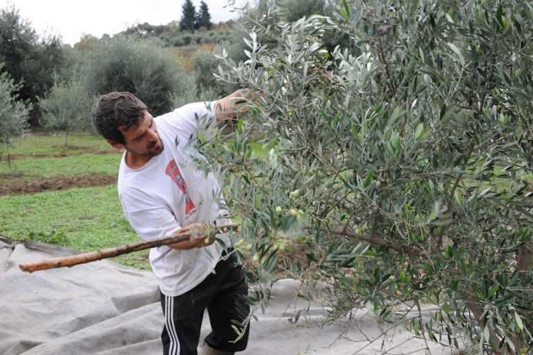 Ποιοί αγρότες εξαιρούνται από την έκτακτη ειδική εισφορά αλληλεγγύης | Newsit.gr Ποιοί αγρότες εξαιρούνται από την έκτακτη ειδική εισφορά αλληλεγγύης | Newsit.gr