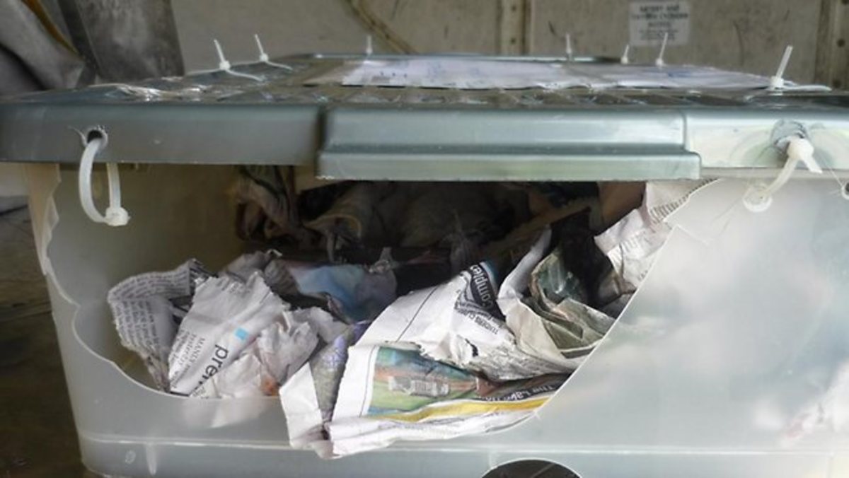 Κροκόδειλος έκοβε βόλτες σε αεροπλάνο! | Newsit.gr Κροκόδειλος έκοβε βόλτες σε αεροπλάνο! | Newsit.gr
