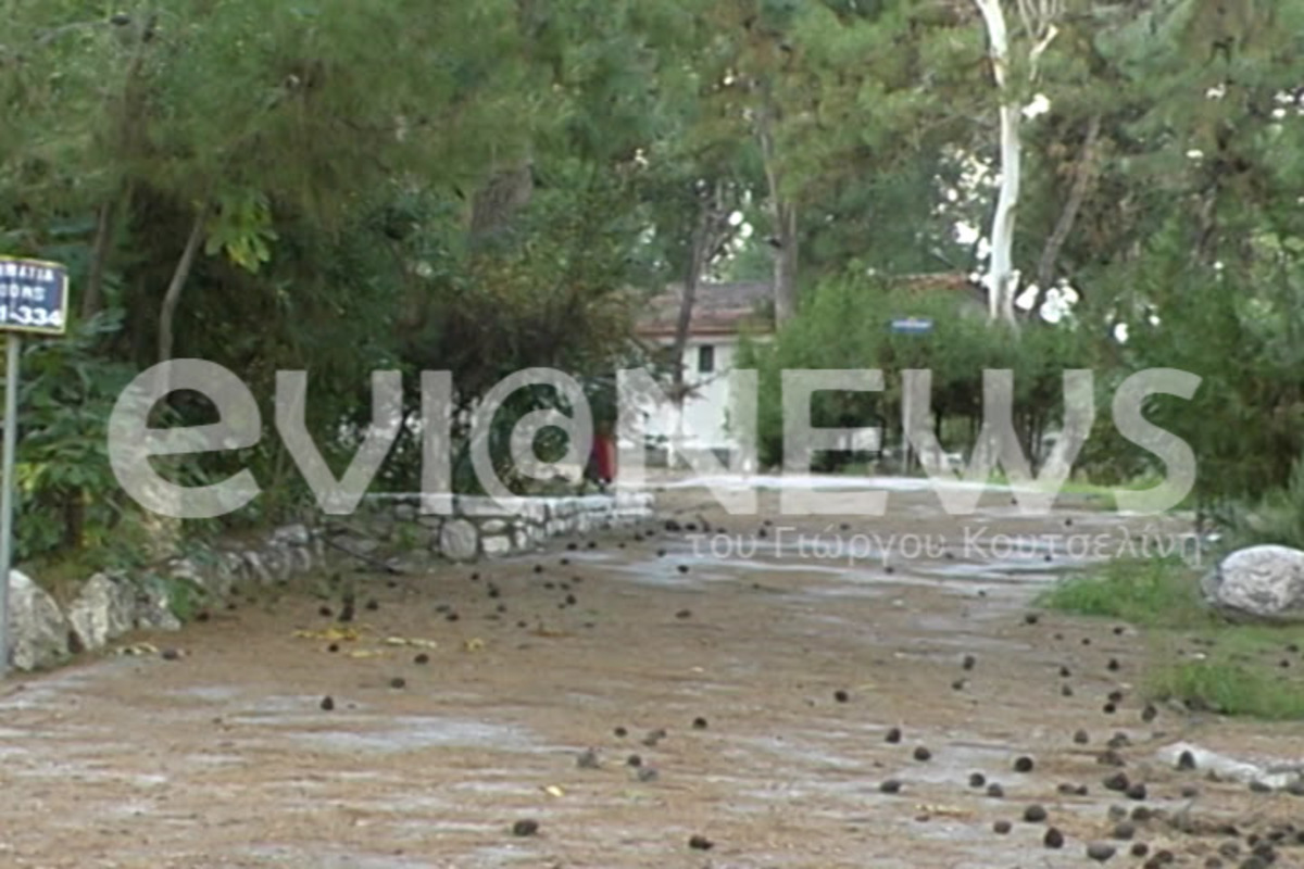 Εύβοια:Γνωρίστε το νησί που κάνει Άραβες και Ρώσους να »σφάζονται» -Φωτό και βίντεο! | Newsit.gr Εύβοια:Γνωρίστε το νησί που κάνει Άραβες και Ρώσους να »σφάζονται» -Φωτό και βίντεο! | Newsit.gr