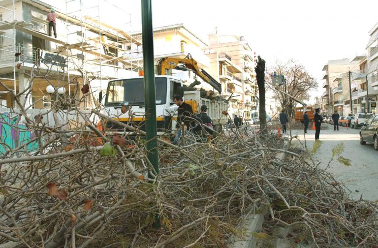 Πέλλα: Καταπλακώθηκε από δέντρο και πέθανε μπροστά στο παιδί του! | Newsit.gr Πέλλα: Καταπλακώθηκε από δέντρο και πέθανε μπροστά στο παιδί του! | Newsit.gr