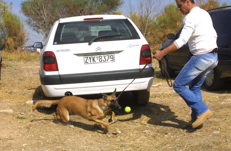 Αλεξανδρούπολη: Σκύλος της αστυνομίας ξετρύπωσε 12 κιλά χασίς! | Newsit.gr Αλεξανδρούπολη: Σκύλος της αστυνομίας ξετρύπωσε 12 κιλά χασίς! | Newsit.gr