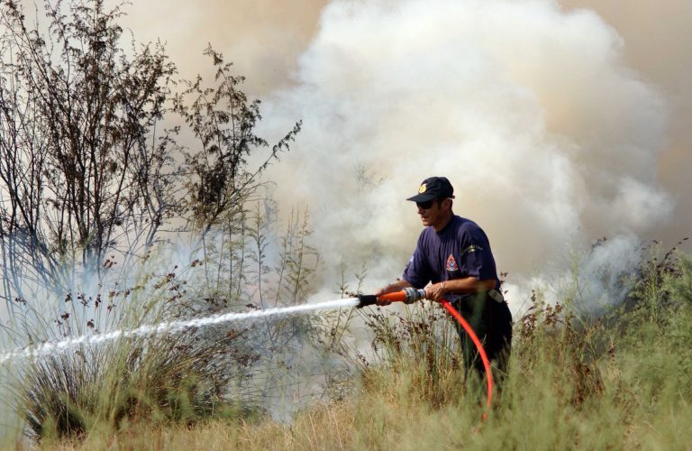 Πήλιο: Φωτιά σε δύσβατη αγροτική περιοχή στον Άγιο Γεώργιο | Newsit.gr Πήλιο: Φωτιά σε δύσβατη αγροτική περιοχή στον Άγιο Γεώργιο | Newsit.gr