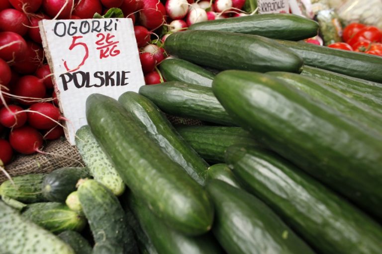 Επίθεση των Ισπανών για τα αγγούρια | Newsit.gr Επίθεση των Ισπανών για τα αγγούρια | Newsit.gr