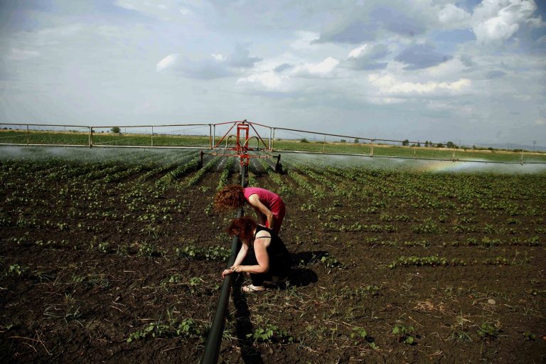 300.000 φεύγουν μετανάστες στο… χωριό – Αγρότες με καλλιέργειες που… τα σπάνε | Newsit.gr 300.000 φεύγουν μετανάστες στο… χωριό – Αγρότες με καλλιέργειες που… τα σπάνε | Newsit.gr