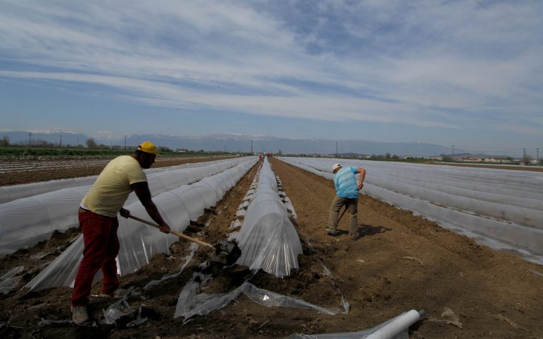 Έτσι θα ελέγχουν τις τιμές των αγροτικών προϊόντων | Newsit.gr Έτσι θα ελέγχουν τις τιμές των αγροτικών προϊόντων | Newsit.gr