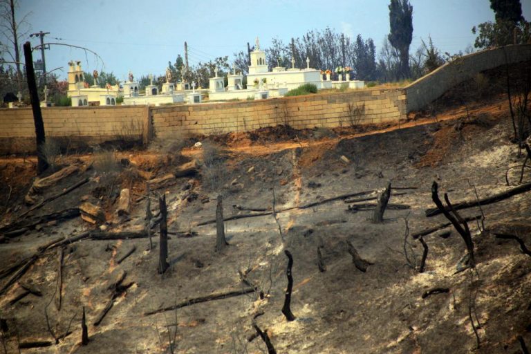 Αρκαδία: Στάχτη έγιναν 35.000 στρέμματα – Ελεύθερος ο 45χρονος για πρόκληση της φωτιάς | Newsit.gr Αρκαδία: Στάχτη έγιναν 35.000 στρέμματα – Ελεύθερος ο 45χρονος για πρόκληση της φωτιάς | Newsit.gr