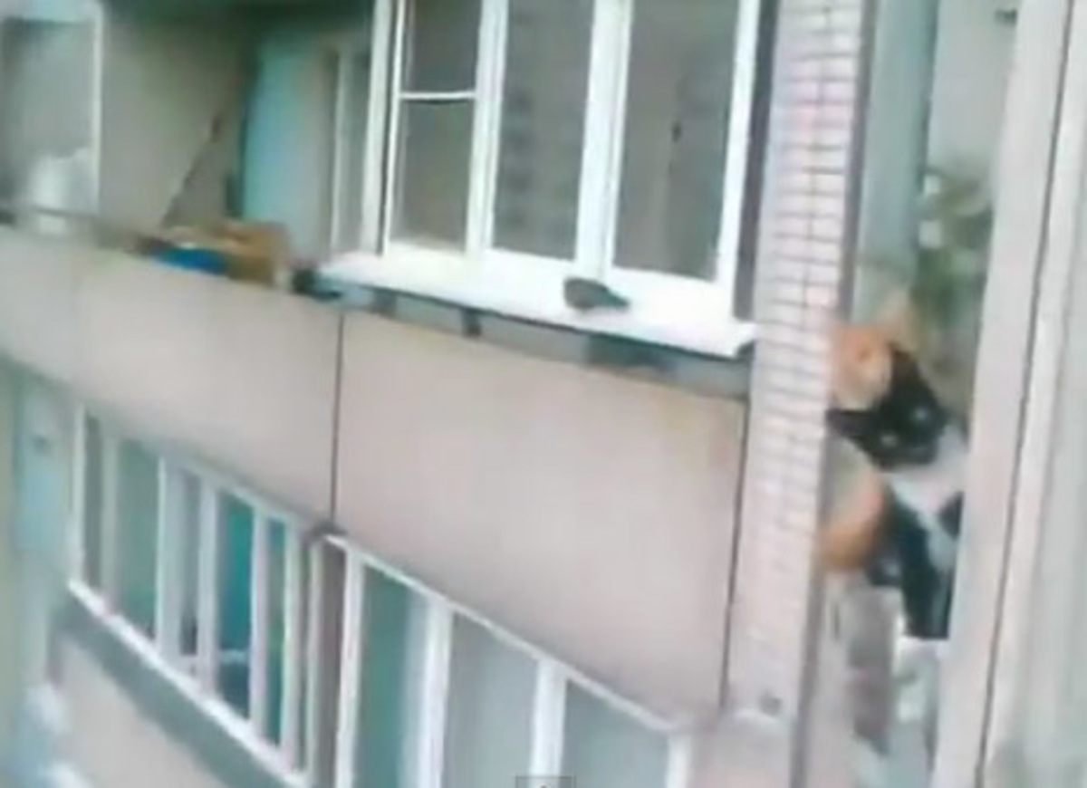 Γάτες κατάσκοποι! Ή αλλιώς… Spies Cats – VIDEO | Newsit.gr Γάτες κατάσκοποι! Ή αλλιώς… Spies Cats – VIDEO | Newsit.gr
