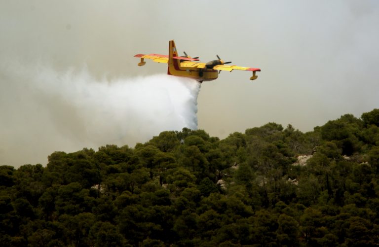 Χαλκιδική: Υπό μερικό έλεγχο η φωτιά στον Μαρμαρά | Newsit.gr Χαλκιδική: Υπό μερικό έλεγχο η φωτιά στον Μαρμαρά | Newsit.gr