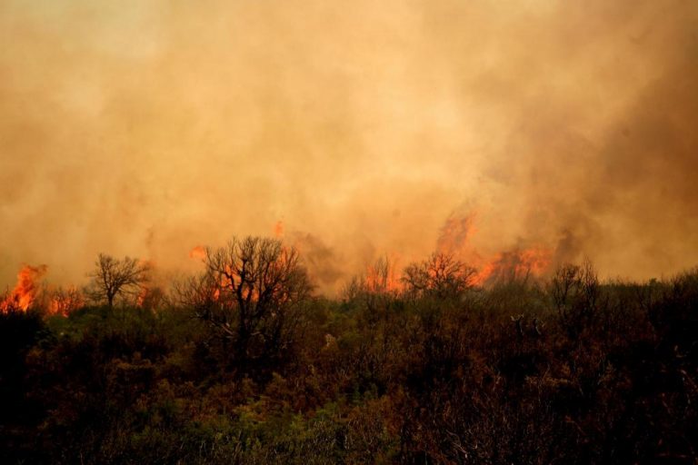 Συναγερμός από φωτιά κοντά στον αρχαιολογικό χώρο της Φαιστού | Newsit.gr Συναγερμός από φωτιά κοντά στον αρχαιολογικό χώρο της Φαιστού | Newsit.gr