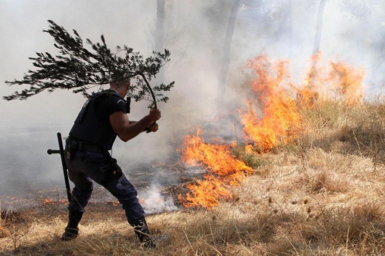 Φθιώτιδα: Μεγάλη πυρκαγιά στο Δομοκό | Newsit.gr Φθιώτιδα: Μεγάλη πυρκαγιά στο Δομοκό | Newsit.gr