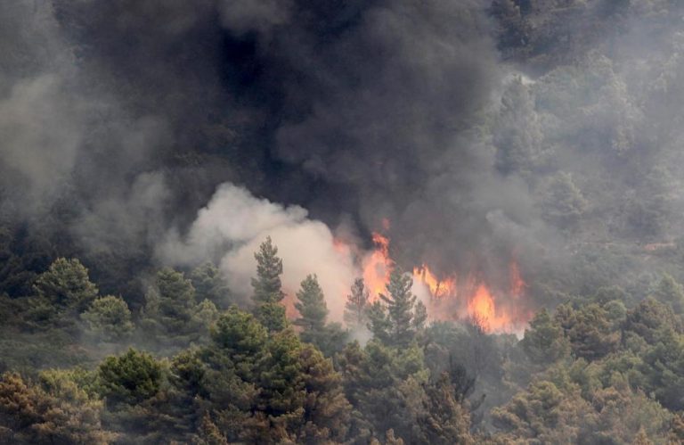 Νέα πυρκαγιά μεταξύ Φουρνέ και Μεσκλών στα Χανιά | Newsit.gr Νέα πυρκαγιά μεταξύ Φουρνέ και Μεσκλών στα Χανιά | Newsit.gr