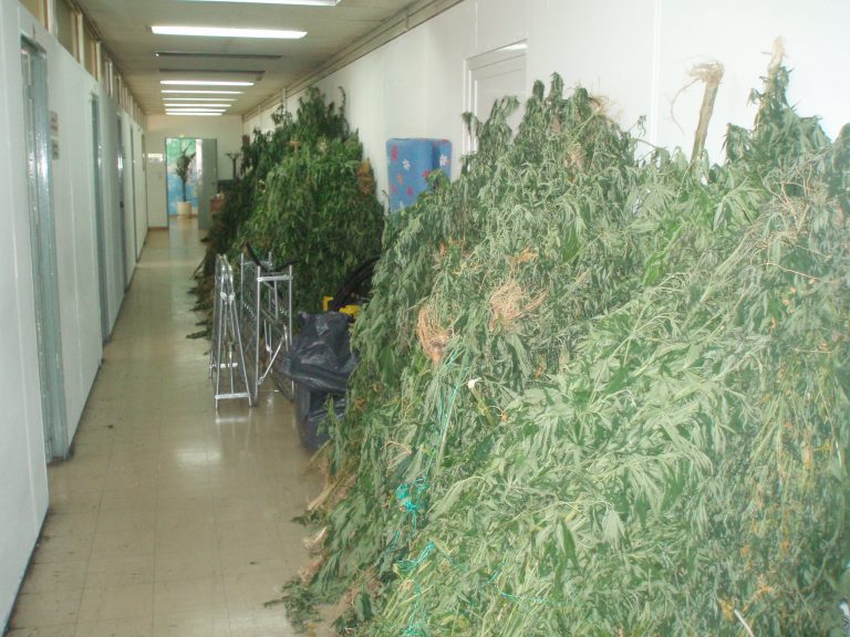 Ξάνθη: Οικογενειακή επιχείρηση ναρκωτικών! | Newsit.gr Ξάνθη: Οικογενειακή επιχείρηση ναρκωτικών! | Newsit.gr