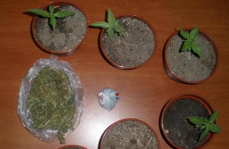 Δράμα: Σακουλάκι με χασίς στην τσέπη του και τα… «φυτά» στο σπίτι | Newsit.gr Δράμα: Σακουλάκι με χασίς στην τσέπη του και τα… «φυτά» στο σπίτι | Newsit.gr