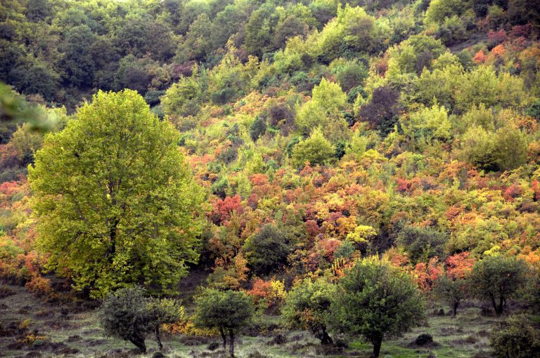 Θεσσαλονίκη: Βρέθηκαν οι δράστες της διπλής δολοφονίας! | Newsit.gr Θεσσαλονίκη: Βρέθηκαν οι δράστες της διπλής δολοφονίας! | Newsit.gr