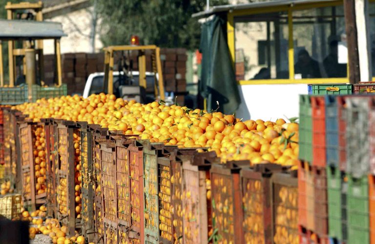 Αποζημιώσεις ΕΛΓΑ σε παραγωγούς | Newsit.gr Αποζημιώσεις ΕΛΓΑ σε παραγωγούς | Newsit.gr