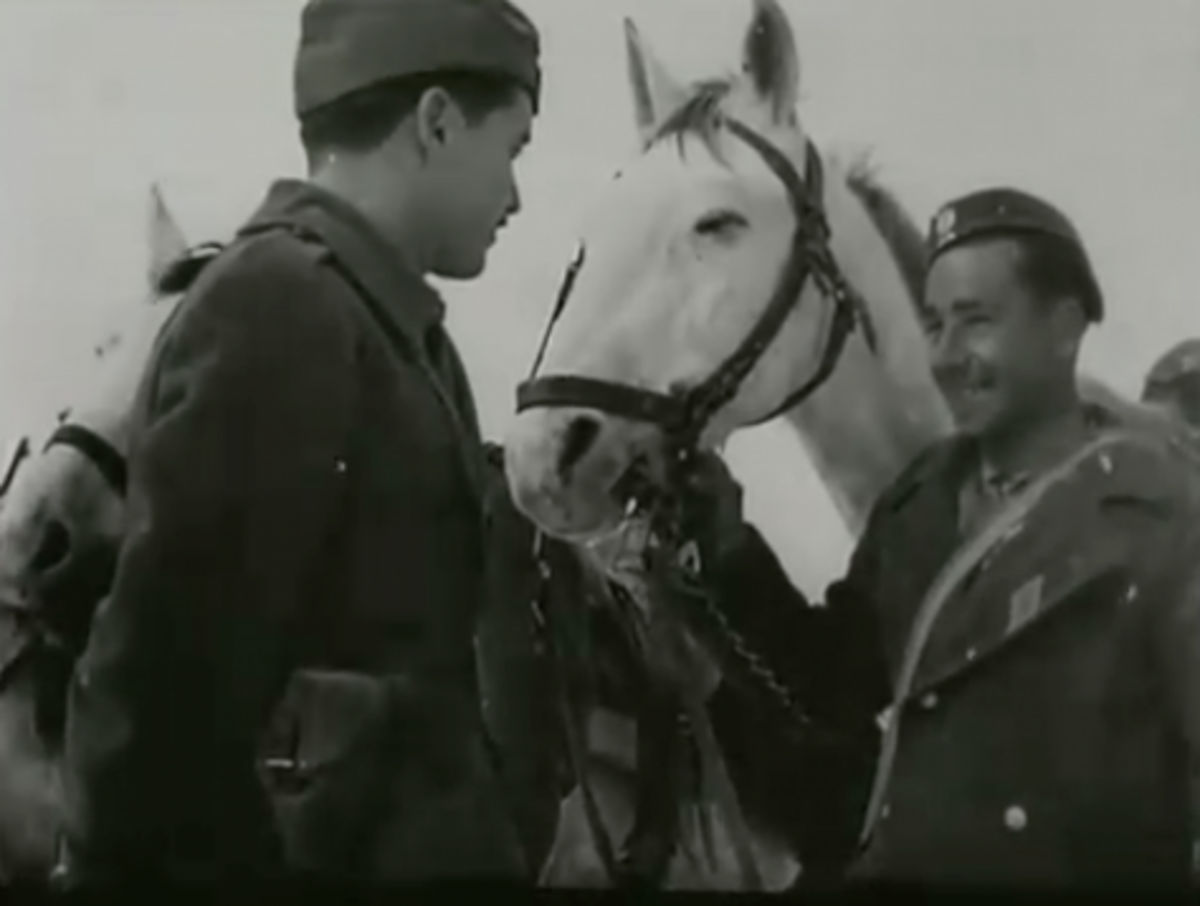 12/10/1949: Το τέλος του Εμφυλίου που κάποιοι ακόμη ζουν! ΒΙΝΤΕΟ-ΝΤΟΚΟΥΜΕΝΤΟ | Newsit.gr 12/10/1949: Το τέλος του Εμφυλίου που κάποιοι ακόμη ζουν! ΒΙΝΤΕΟ-ΝΤΟΚΟΥΜΕΝΤΟ | Newsit.gr