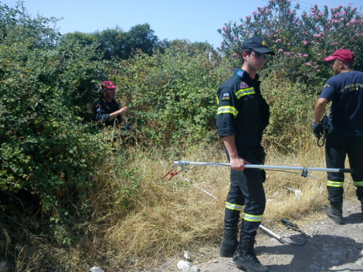 Φθιώτιδα: Επιχείρηση της ΕΜΑΚ για μυστηριώδες ερπετό! ΦΩΤΟ | Newsit.gr Φθιώτιδα: Επιχείρηση της ΕΜΑΚ για μυστηριώδες ερπετό! ΦΩΤΟ | Newsit.gr