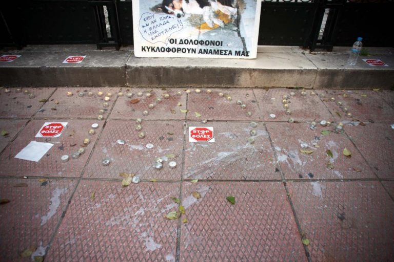 Σκότωσαν με φόλες σκυλιά, αλεπούδες και κουνάβια | Newsit.gr Σκότωσαν με φόλες σκυλιά, αλεπούδες και κουνάβια | Newsit.gr