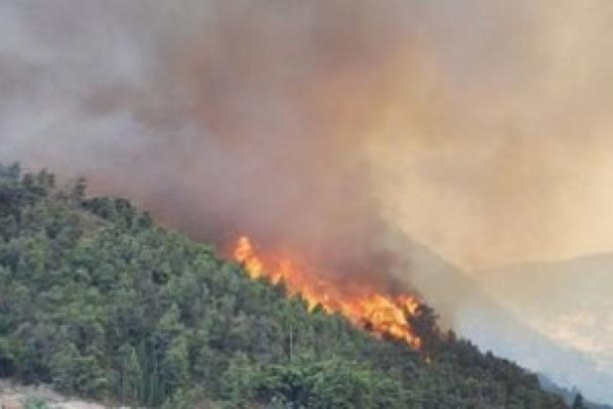 Φωτιά στην Αγία Τριάδα Θεσσαλονίκης- Απειλήθηκαν σπίτια – ΒΙΝΤΕΟ | Newsit.gr Φωτιά στην Αγία Τριάδα Θεσσαλονίκης- Απειλήθηκαν σπίτια – ΒΙΝΤΕΟ | Newsit.gr