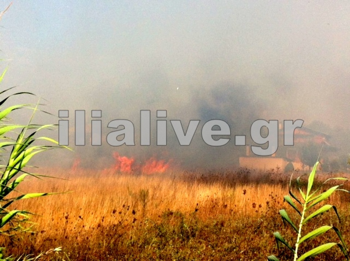 Ηλεία: Η φωτιά πέρασε από το στρατόπεδο της ΣΕΤΤΗΛ και κατευθύνται στην Ε.Ο. Πύργου-Κατακόλου – ΦΩΤΟ | Newsit.gr Ηλεία: Η φωτιά πέρασε από το στρατόπεδο της ΣΕΤΤΗΛ και κατευθύνται στην Ε.Ο. Πύργου-Κατακόλου – ΦΩΤΟ | Newsit.gr