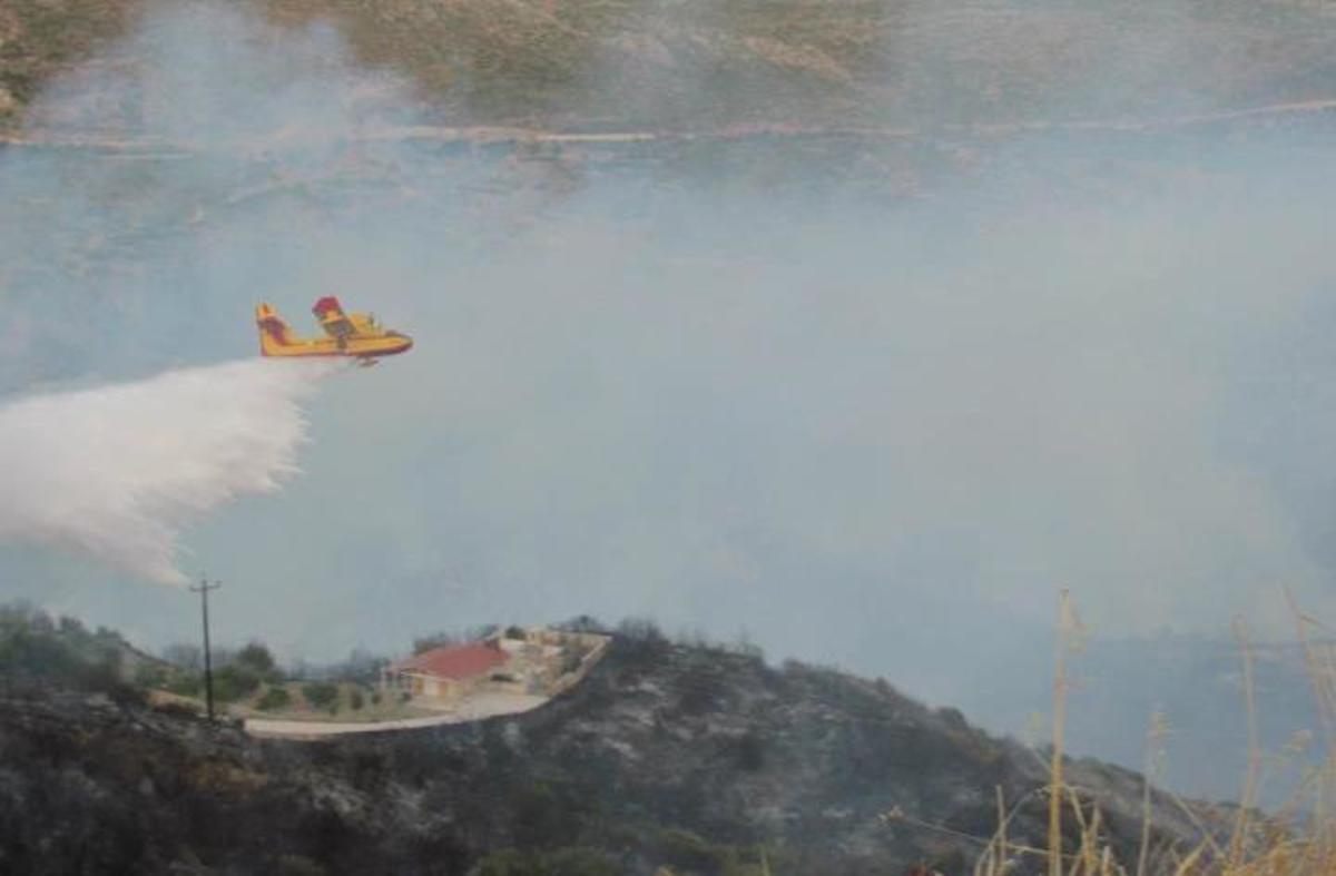 Κεφαλονιά: 1.500 στρέμματα καμένης γης άφησε πίσω της η φωτιά – ΦΩΤΟ | Newsit.gr Κεφαλονιά: 1.500 στρέμματα καμένης γης άφησε πίσω της η φωτιά – ΦΩΤΟ | Newsit.gr