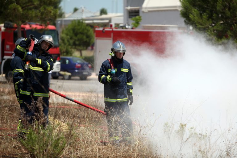 Φωτιά στη Μάνδρα Αττικής | Newsit.gr Φωτιά στη Μάνδρα Αττικής | Newsit.gr