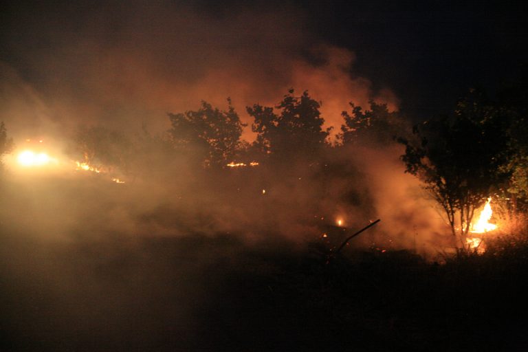 Σε πύρινο κλοιό η μισή Ελλάδα – Συνεχίζουν να καίνε 14 μέτωπα | Newsit.gr Σε πύρινο κλοιό η μισή Ελλάδα – Συνεχίζουν να καίνε 14 μέτωπα | Newsit.gr