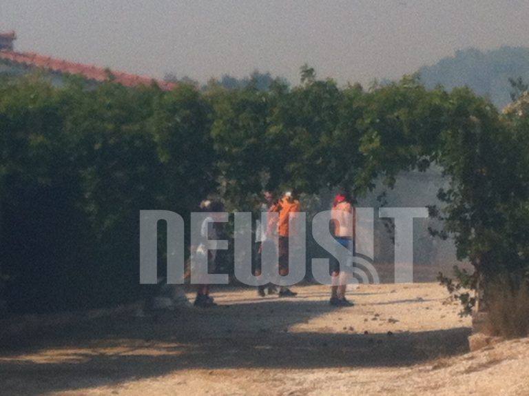 Πύρινος εφιάλτης λίγες ώρες πριν τις εκλογές – Και η Χρυσή Αυγή στο μέτωπο της φωτιάς | Newsit.gr Πύρινος εφιάλτης λίγες ώρες πριν τις εκλογές – Και η Χρυσή Αυγή στο μέτωπο της φωτιάς | Newsit.gr