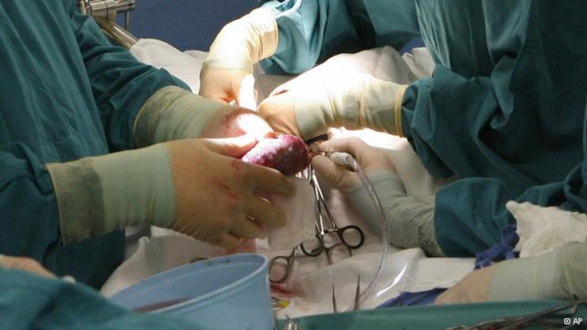 Συνέλαβαν εννέα καρδιολόγους για πειράματα σε ασθενείς | Newsit.gr Συνέλαβαν εννέα καρδιολόγους για πειράματα σε ασθενείς | Newsit.gr