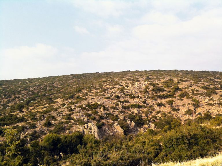 Εύβοια: Ο εγγονός βρήκε τον παππού του νεκρό, σε θάμνους! | Newsit.gr Εύβοια: Ο εγγονός βρήκε τον παππού του νεκρό, σε θάμνους! | Newsit.gr