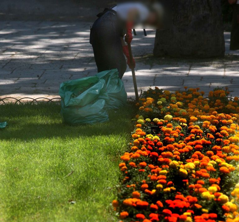 Ηλεία: Μανιασμένη επίθεση σε κηπουρό – Τον μαχαίρωσε και τον χτυπούσε με σφυρί! | Newsit.gr Ηλεία: Μανιασμένη επίθεση σε κηπουρό – Τον μαχαίρωσε και τον χτυπούσε με σφυρί! | Newsit.gr