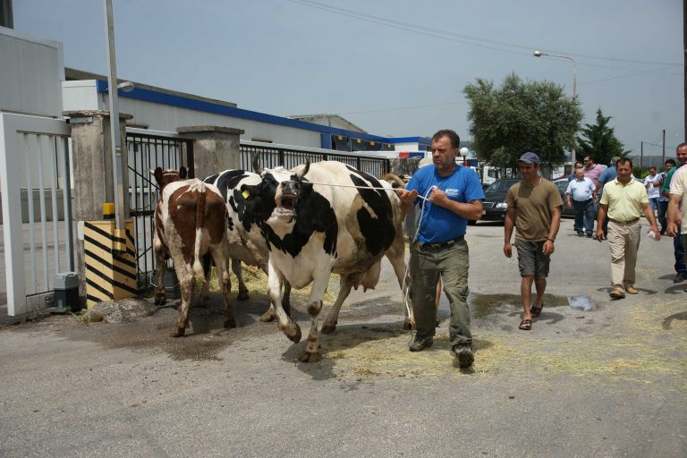 ΕΛΓΑ: 1.091.414 ευρώ οι αποζημιώσεις στους κτηνοτρόφους | Newsit.gr ΕΛΓΑ: 1.091.414 ευρώ οι αποζημιώσεις στους κτηνοτρόφους | Newsit.gr