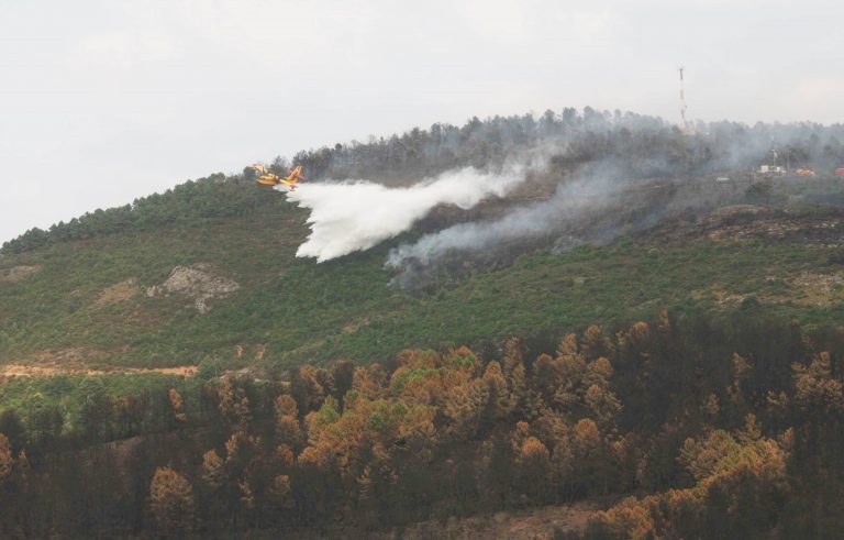 Κάηκαν πάνω από 300 στρέμματα δάσους στη Μαγνησία | Newsit.gr Κάηκαν πάνω από 300 στρέμματα δάσους στη Μαγνησία | Newsit.gr