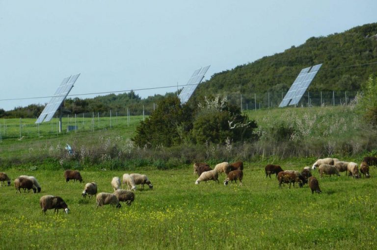 Αιτωλοακαρνανία: Έκλεψαν 127 αρνιά και προβατίνες! | Newsit.gr Αιτωλοακαρνανία: Έκλεψαν 127 αρνιά και προβατίνες! | Newsit.gr