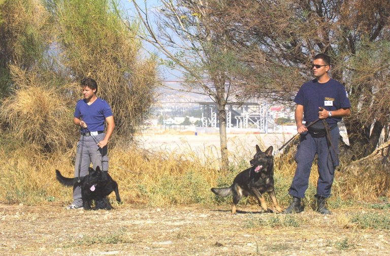 Πέλλα: Βρέθηκαν τα οστά εξαφανισμένης γυναίκας; | Newsit.gr Πέλλα: Βρέθηκαν τα οστά εξαφανισμένης γυναίκας; | Newsit.gr