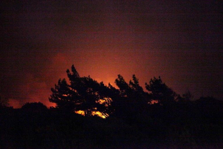 Σε κατάσταση έκτακτης ανάγκης η Ρόδος – Απειλούνται από τη φωτιά τα ελάφια στον εθνικό δρυμό – ΦΩΤΟ | Newsit.gr Σε κατάσταση έκτακτης ανάγκης η Ρόδος – Απειλούνται από τη φωτιά τα ελάφια στον εθνικό δρυμό – ΦΩΤΟ | Newsit.gr