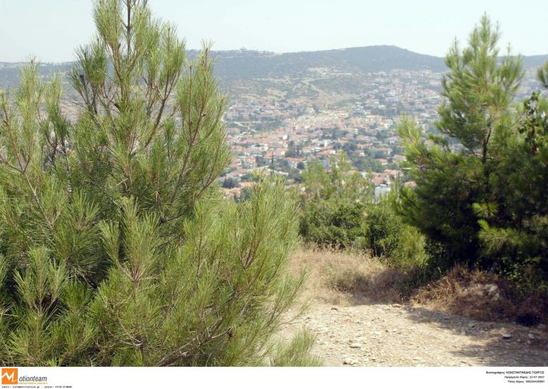 Υπό έλεγχο οι φωτιές σε Ζάκυνθο και Σέιχ Σου! | Newsit.gr Υπό έλεγχο οι φωτιές σε Ζάκυνθο και Σέιχ Σου! | Newsit.gr