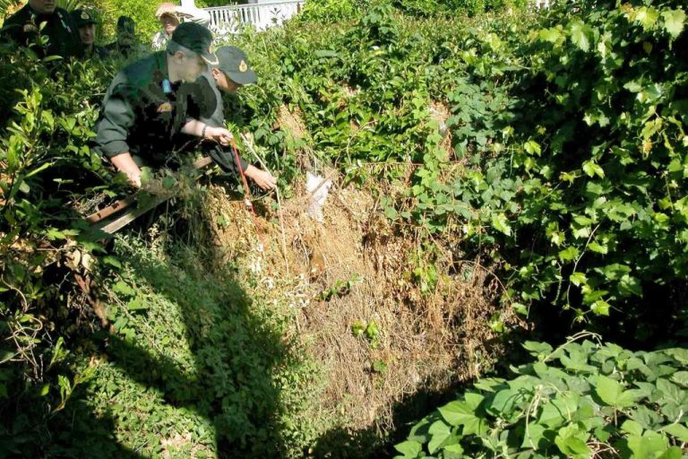 Κρήτη: Επιχείρηση για τη διάσωση σκύλου που έπεσε σε γκρεμό | Newsit.gr Κρήτη: Επιχείρηση για τη διάσωση σκύλου που έπεσε σε γκρεμό | Newsit.gr