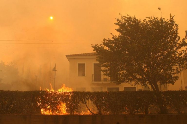 Ηλεία: Ποινές έως και 190 χρόνων φυλάκισης για τις φονικές πυρκαγιές του 2007 | Newsit.gr Ηλεία: Ποινές έως και 190 χρόνων φυλάκισης για τις φονικές πυρκαγιές του 2007 | Newsit.gr