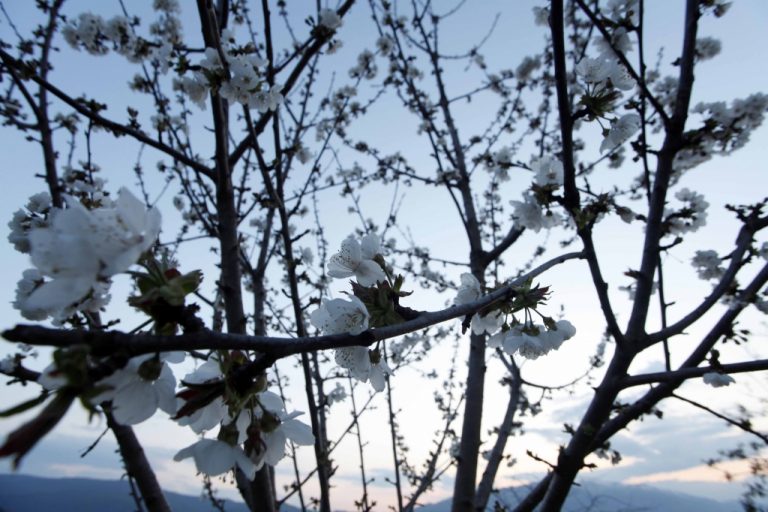 Μικρή πτώση της θερμοκρασίας – Αναλυτική πρόγνωση για όλη την εβδομάδα | Newsit.gr Μικρή πτώση της θερμοκρασίας – Αναλυτική πρόγνωση για όλη την εβδομάδα | Newsit.gr