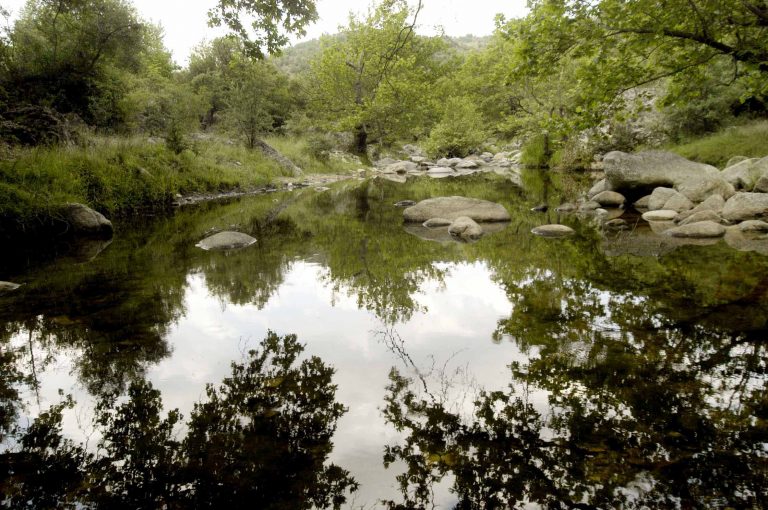Καλαμάτα: 25χρονος βρέθηκε νεκρός σε χείμαρρο | Newsit.gr Καλαμάτα: 25χρονος βρέθηκε νεκρός σε χείμαρρο | Newsit.gr