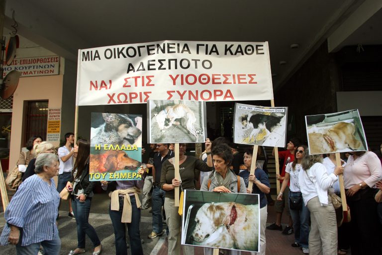 Πορεία διαμαρτυρίας από ζωόφιλους | Newsit.gr Πορεία διαμαρτυρίας από ζωόφιλους | Newsit.gr