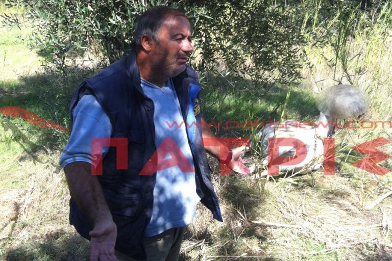 Σκότωσαν και κρέμασαν γάιδαρο στον Πύργο! | Newsit.gr Σκότωσαν και κρέμασαν γάιδαρο στον Πύργο! | Newsit.gr