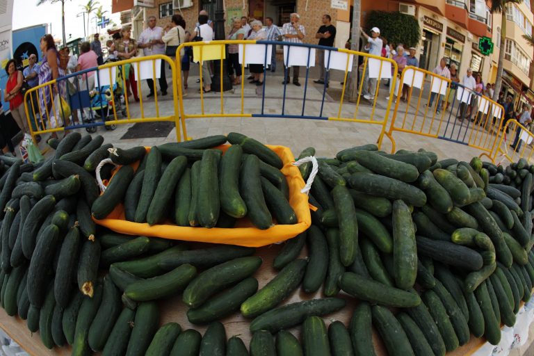 Η Γερμανία ψάχνει αιμοδότες – Αυξάνονται τα κρούσματα και οι νεκροί από το E.coli | Newsit.gr Η Γερμανία ψάχνει αιμοδότες – Αυξάνονται τα κρούσματα και οι νεκροί από το E.coli | Newsit.gr