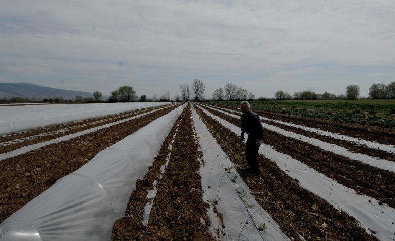 Το Σάββατο καταβάλλεται στους αγρότες η δεύτερη δόση | Newsit.gr Το Σάββατο καταβάλλεται στους αγρότες η δεύτερη δόση | Newsit.gr