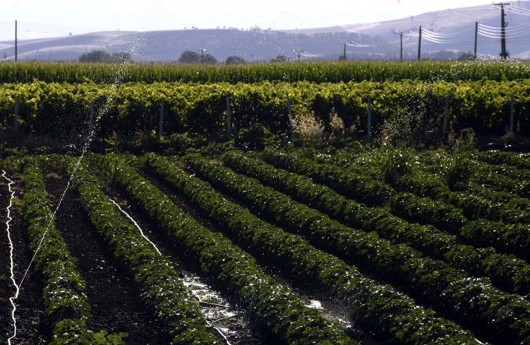Μέχρι 15 Μαΐου οι αιτήσεις για τις επιδοτήσεις | Newsit.gr Μέχρι 15 Μαΐου οι αιτήσεις για τις επιδοτήσεις | Newsit.gr