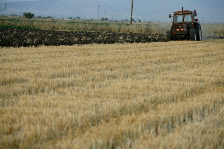 Αποκτήστε ένα στρέμμα γης με 5 ευρώ | Newsit.gr Αποκτήστε ένα στρέμμα γης με 5 ευρώ | Newsit.gr